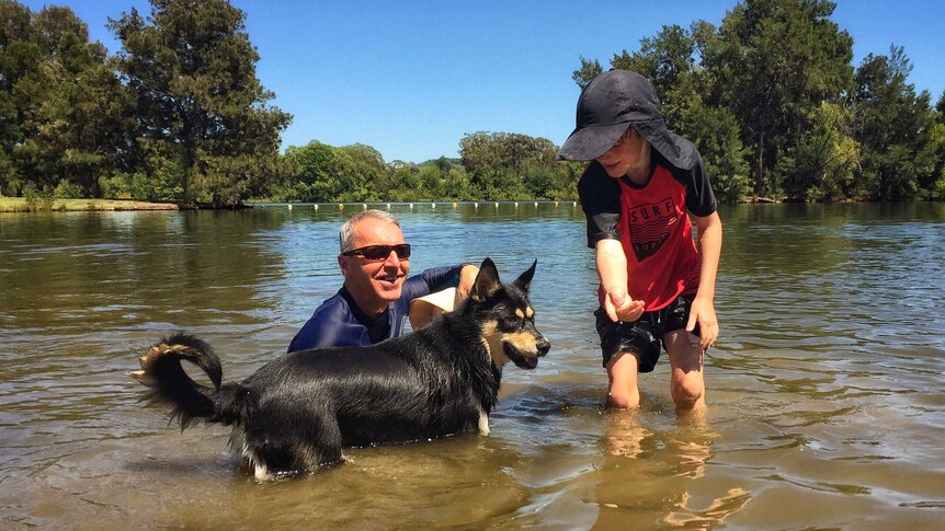 A man, his grandson and their dog play in the water of Lake Burley Griffin.