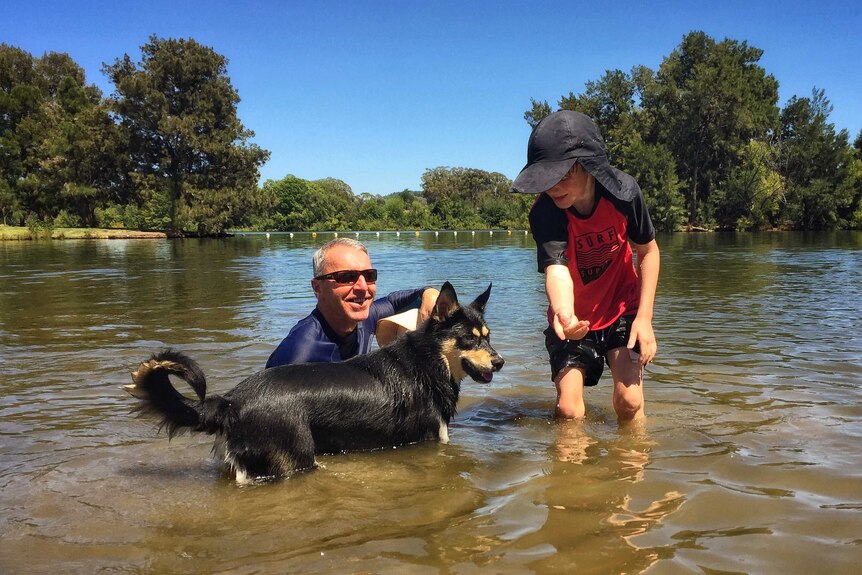 A man, his grandson and their dog play in the water of Lake Burley Griffin.