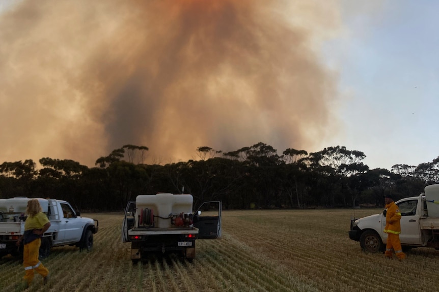smoke in the air during a bushfire