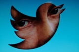 The Twitter bird with Putin's eyes.