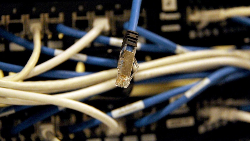 Fibre optic cables in an IT room in Brisbane in April 2014.