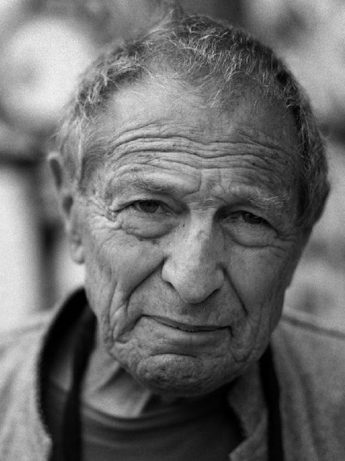 David Goldblatt portrait