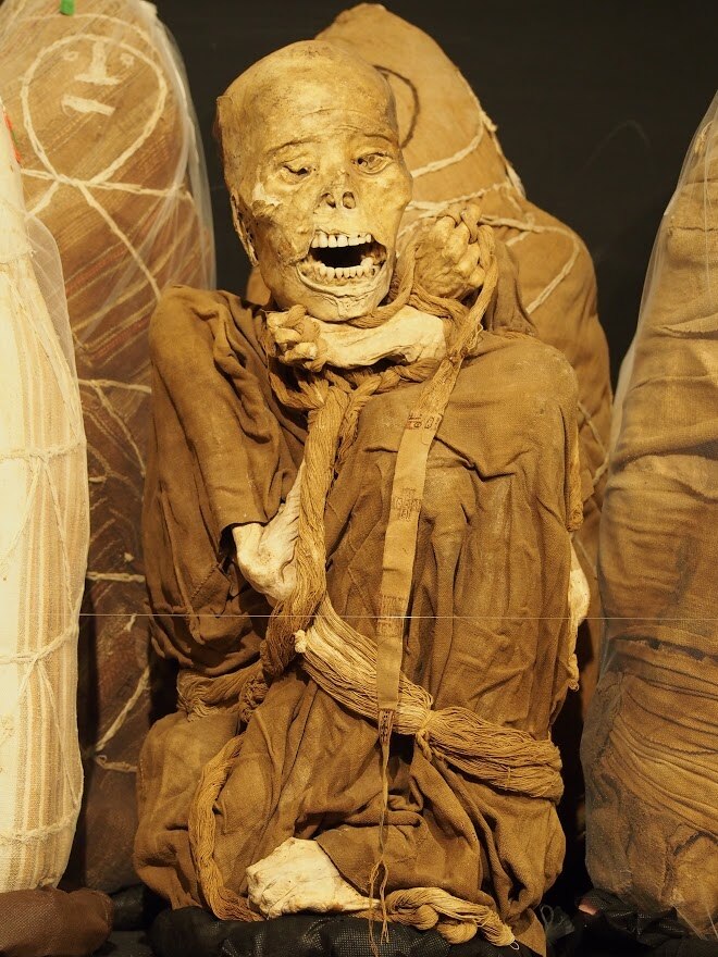 Inca elite mummies