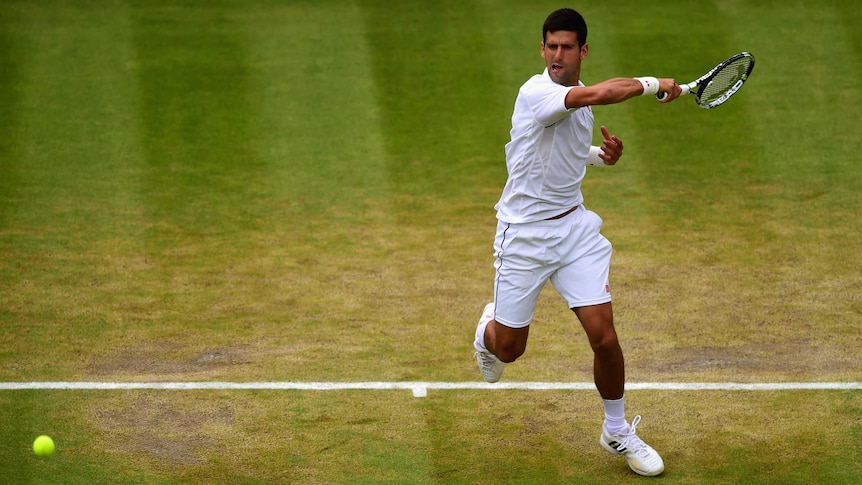Novak Djokovic returns against Kevin Anderson