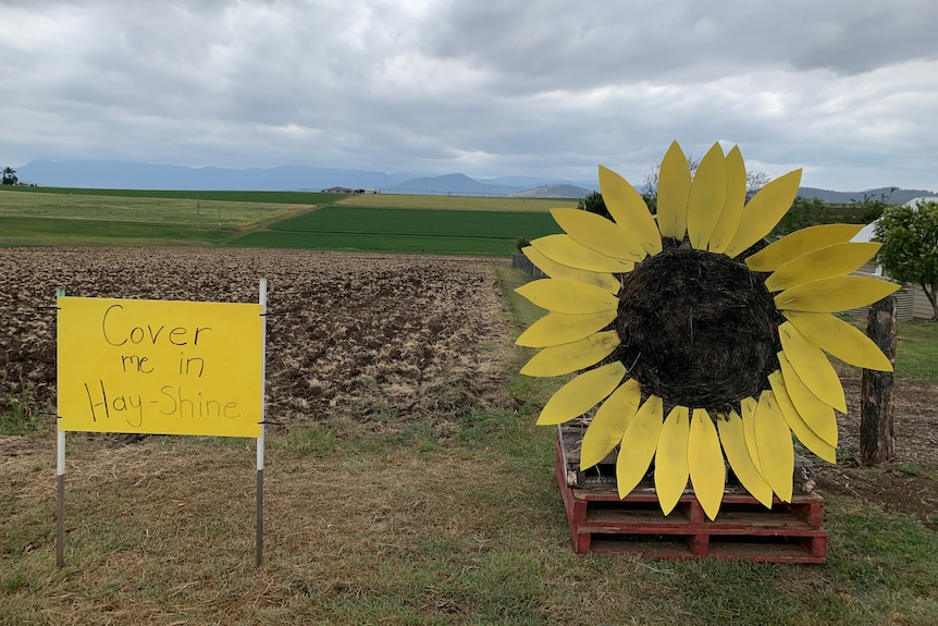 Haybale designed to look like a sunflower sits next to a sign which reads 'Cover me in hayshine'