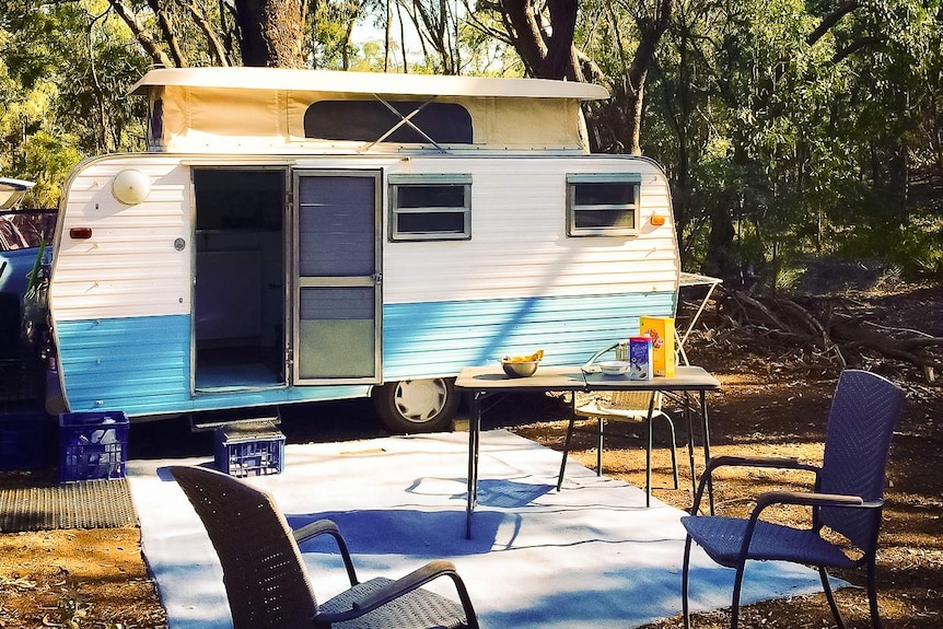 A white a blue caravan parked in the bush.