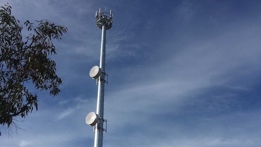 NBN Fixed Wireless tower in Streaky Bay, South Australia.