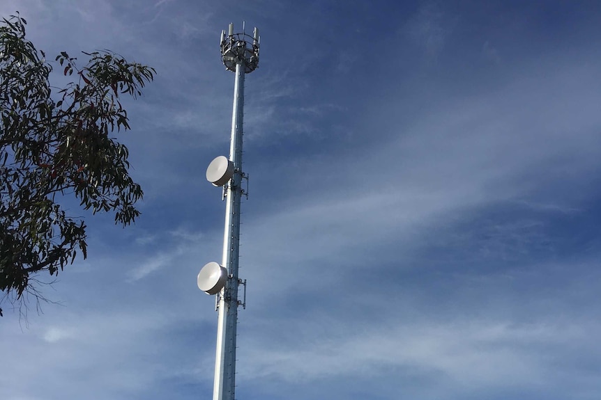 NBN Fixed Wireless tower in Streaky Bay, South Australia.