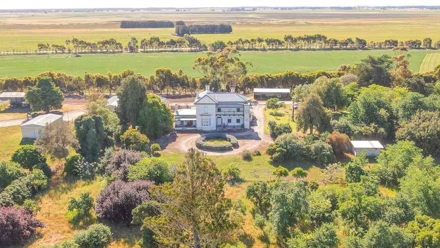 An aerial photo of a white two-storey old stone home surrounded by lush green trees and long-stretching paddocks.