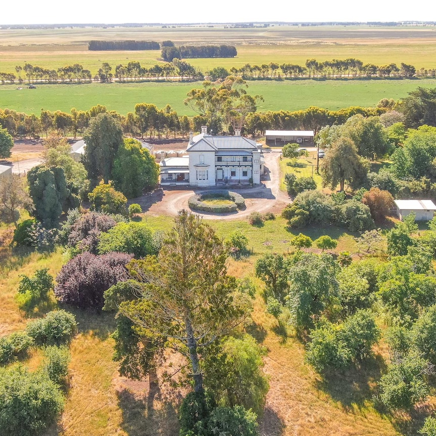 An aerial photo of a white two-storey old stone home surrounded by lush green trees and long-stretching paddocks.