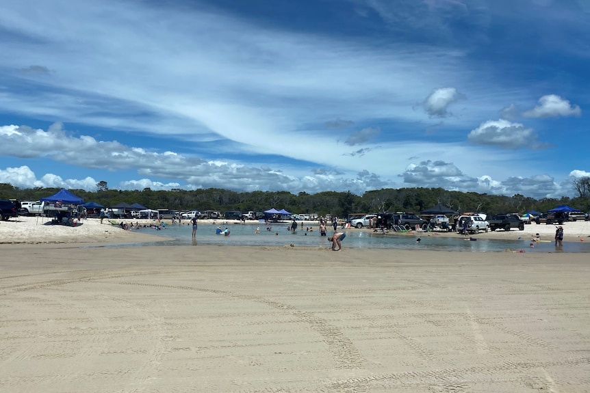 People swimming in ocean swimming hole alongside parked 4WD vehicles on Bribie Island.