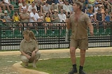 Steve Irwin and wife Terri put Australia Zoo on the map.