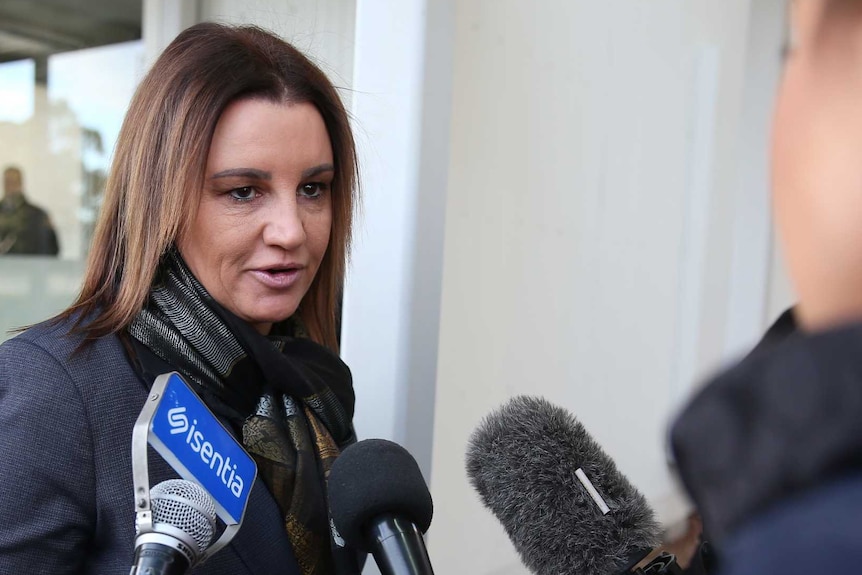 Senator Jacqui Lambie talks in front of reporters and microphones