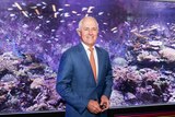 Prime Minister Malcolm Turnbull stands in front of a fish tank