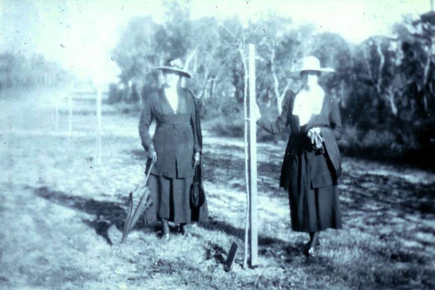A black and white historical image of two women planting a tree