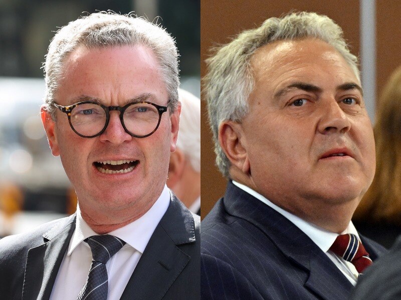 A composite image of Christopher Pyne and Joe Hockey