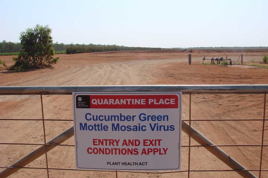 A farm gate with a quarantine sign hanging off it that warns of the presence of cucumber green mottle mosaic virus.