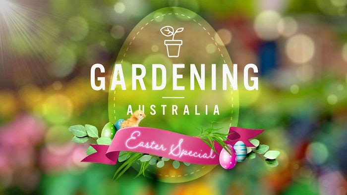Colourful graphic with text 'Gardening Australia - Easter Special'' with Easter eggs and a chick