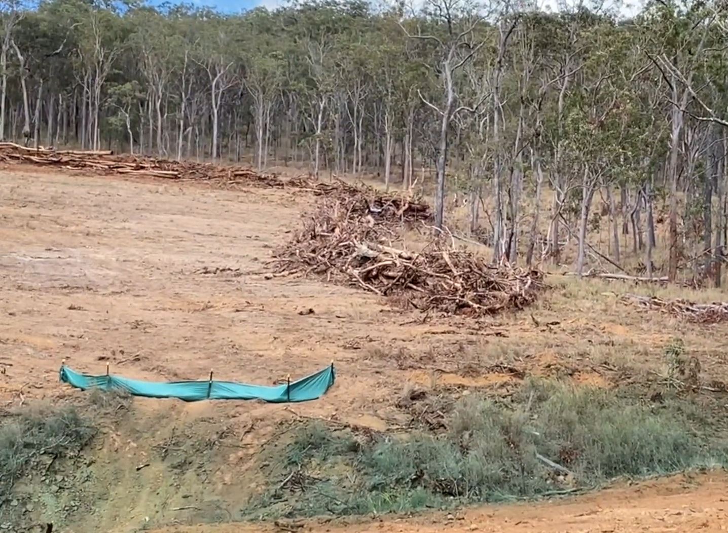Land that has been cleared of trees 