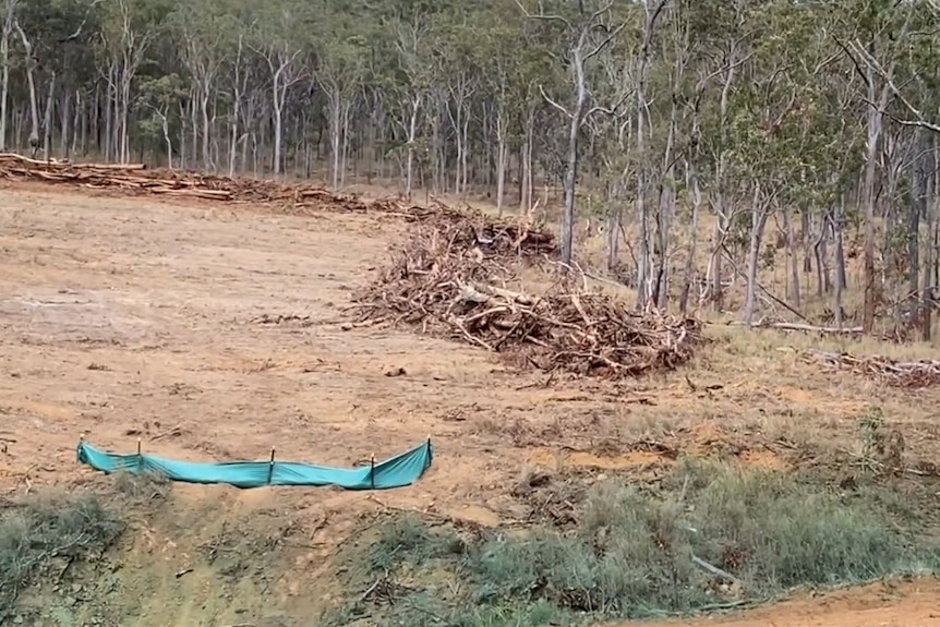Terreno que ha sido despejado de árboles 
