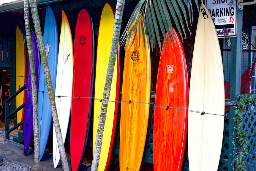 Surf boards lined up against a shop by the beach