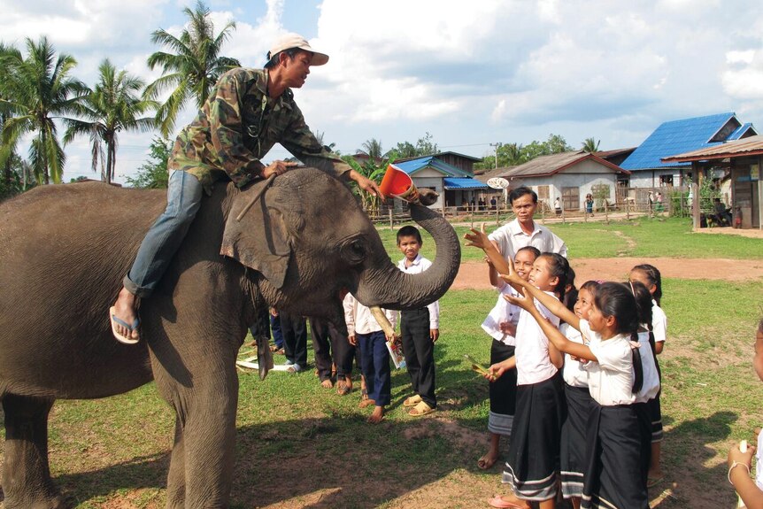 Elephant activities as part of The Elephant Caravan