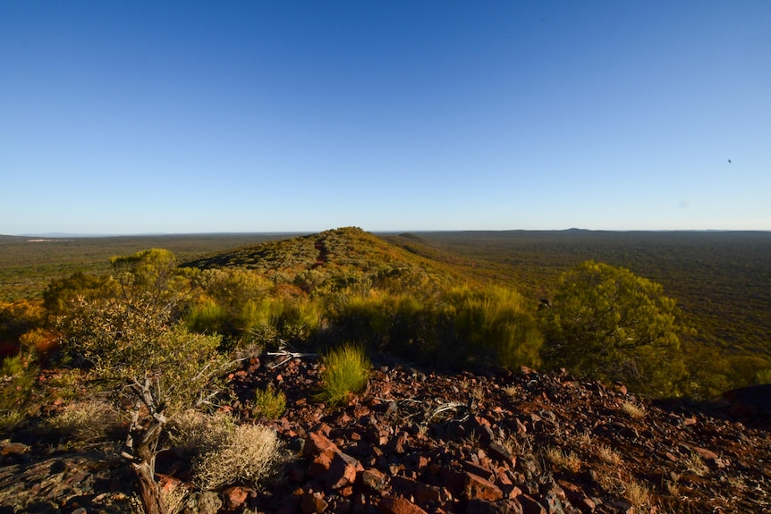 A rocky ridge in a vast bush landscape.