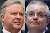 Composite image of Anthony Albanese and Scott Morrison