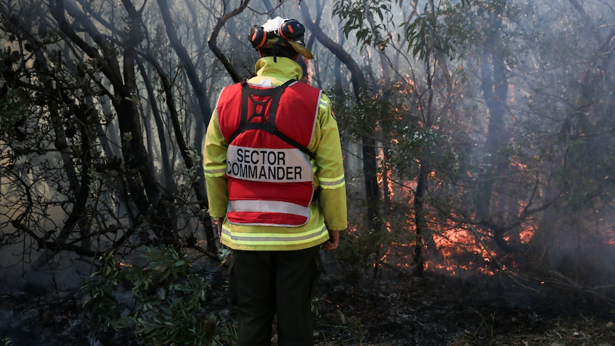 Sector commander stands facing a controlled burn