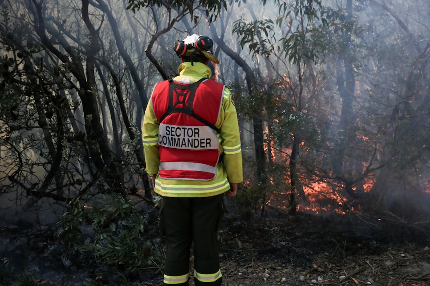 Sector commander stands facing a controlled burn
