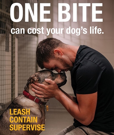 A man hugs his dog, the title reads one bite can cost your dog's life.