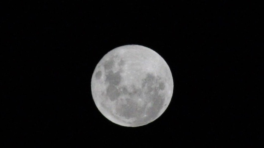 A close-up picture of the supermoon