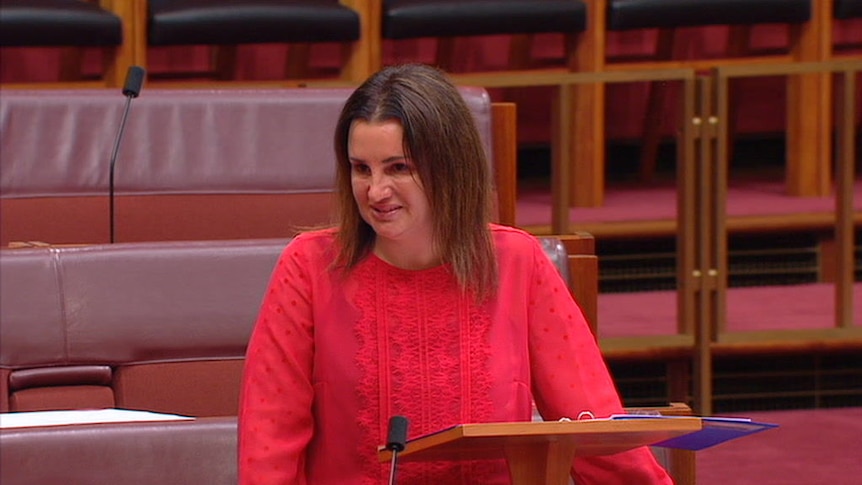 Lambie makes impassioned speech about being on welfare