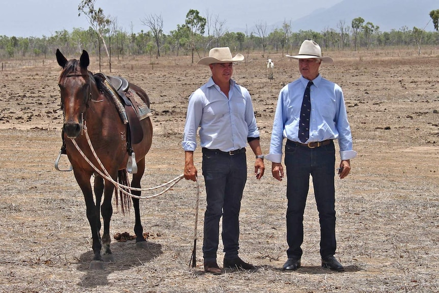 Federal member for Kennedy, Bob Katter and his son Robbie, the State Member for Traeger, stand in the bush next to a horse