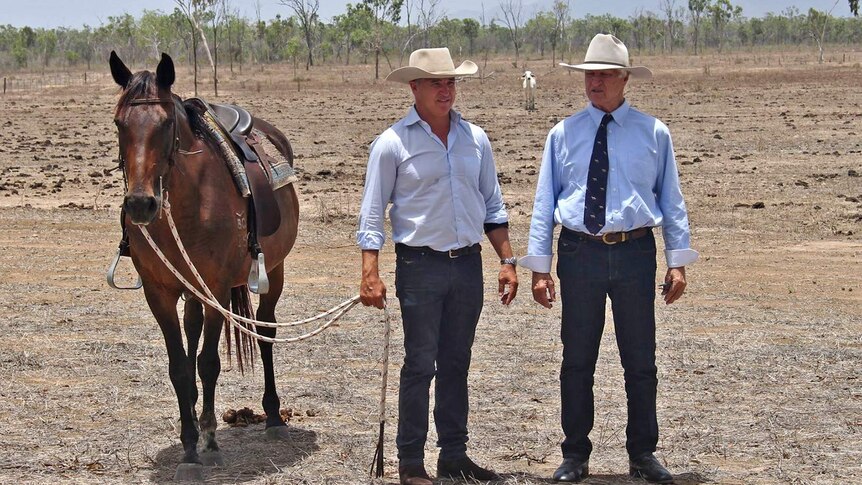 Federal member for Kennedy, Bob Katter and his son Robbie, the State Member for Traeger, stand in the bush next to a horse