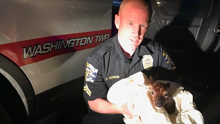 A man dressed in a black police uniform holds a fawn in a blanket next to a police car at night