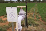 A sign on an irrigation tap head reads 'recycled water. Do not drink'.