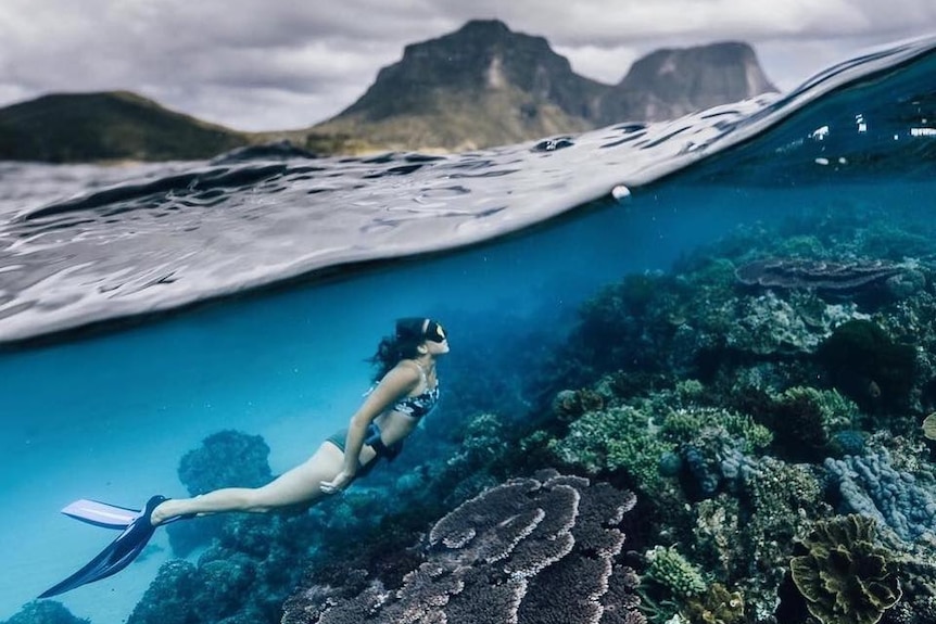 Woman snorkelling over coral on Lord Howe Island