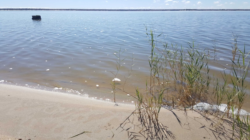 Lake Bonney at Barmera