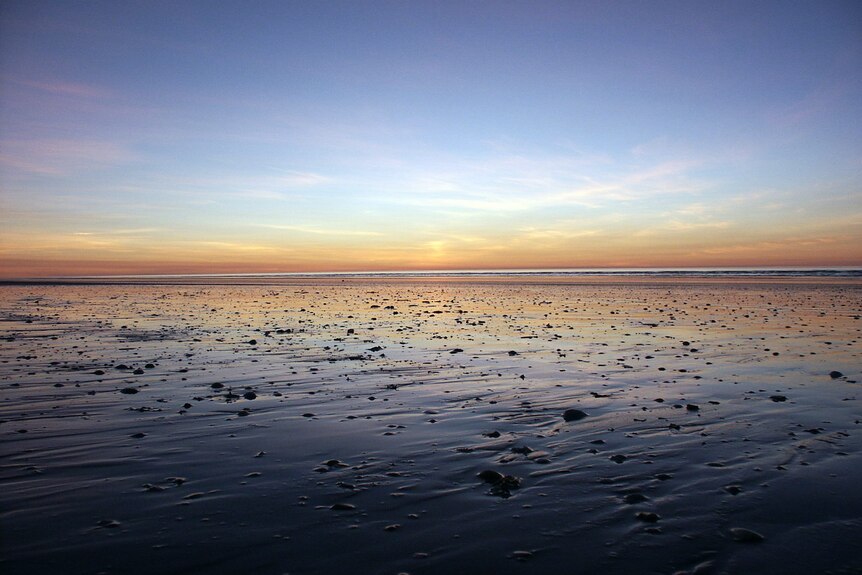 Ocean out at low tide over mud flats at sunset on a flat beach