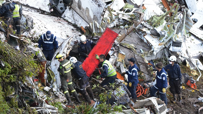 Rescue workers looking through wreckage of the plane, trees among the broken parts of the plane.