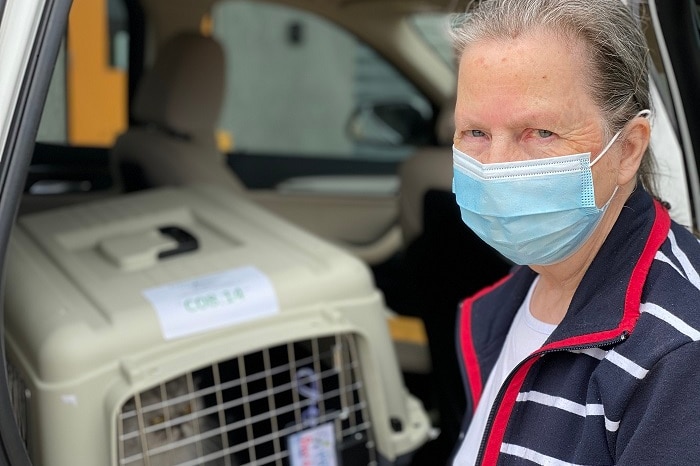 Lady in mask with cat in cage.