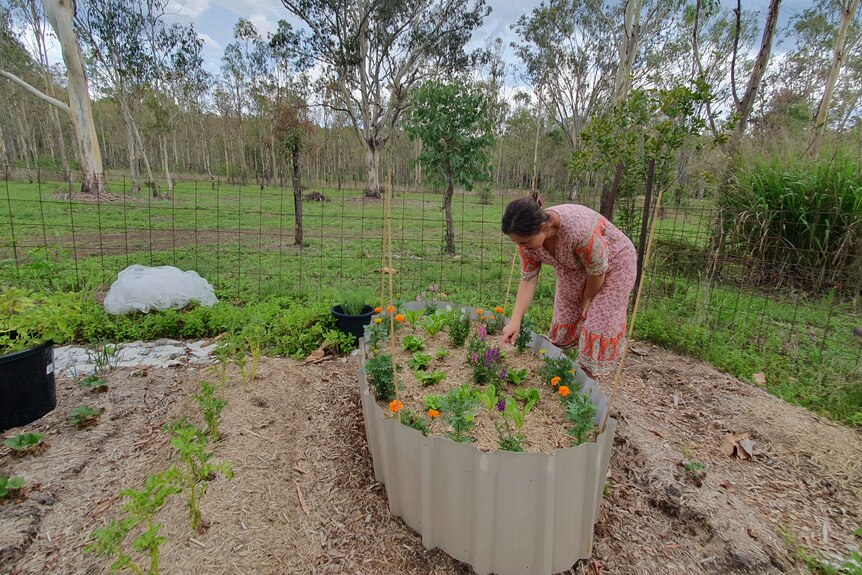 Lady bending over a vegetable garden