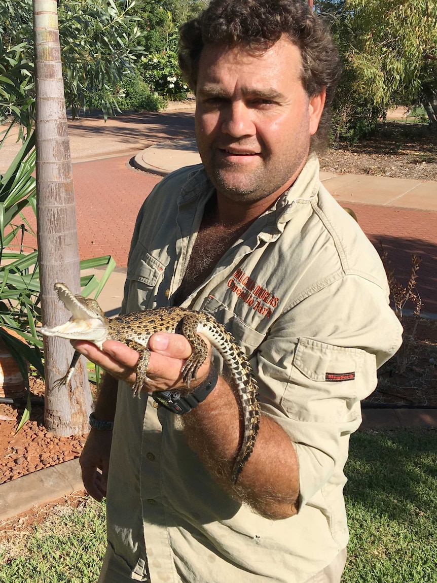 Crocodile handler Dave Tapper holds a juvenile crocodile in his left hand.