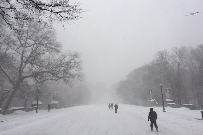 Where the snow ploughs had been during a blizzard in Washington