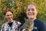 Two women standing with a cute green-eyed brown cat.