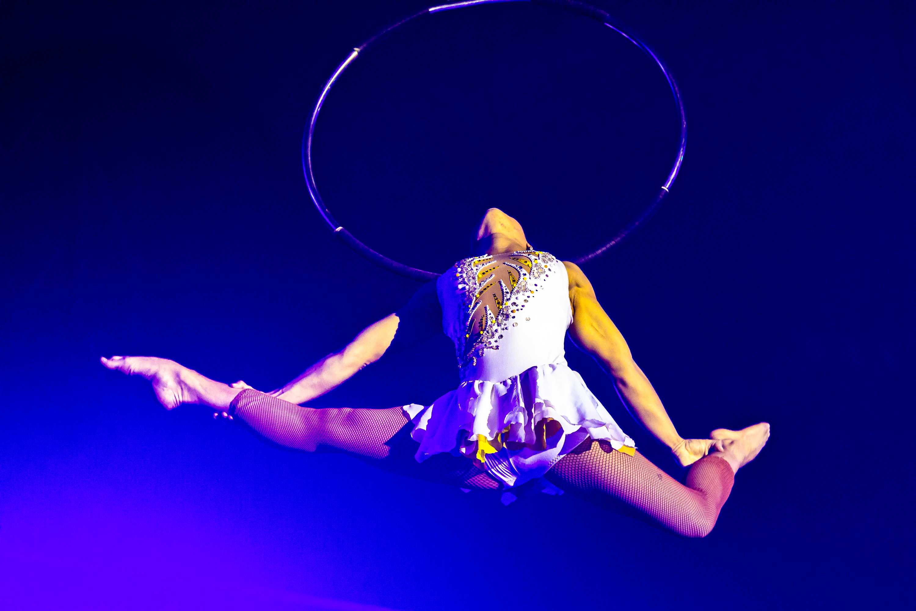 Circus Rio aerial performer seriously injured after falling during ...