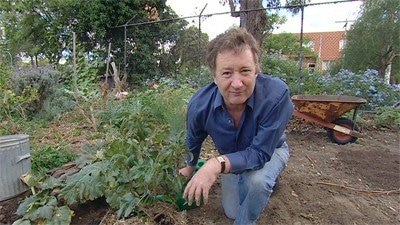 The Vegie Plot - Gardening Australia