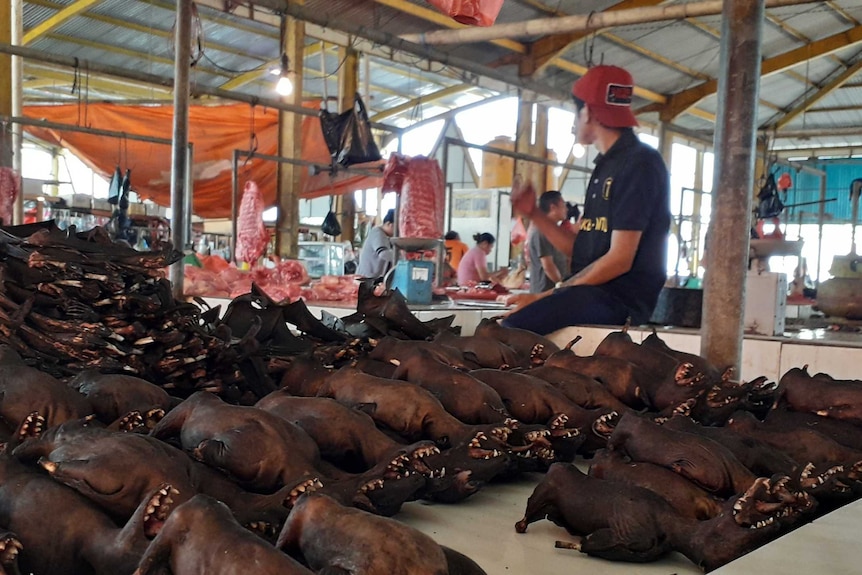 Rows of burnt bats sprawled on a bench.