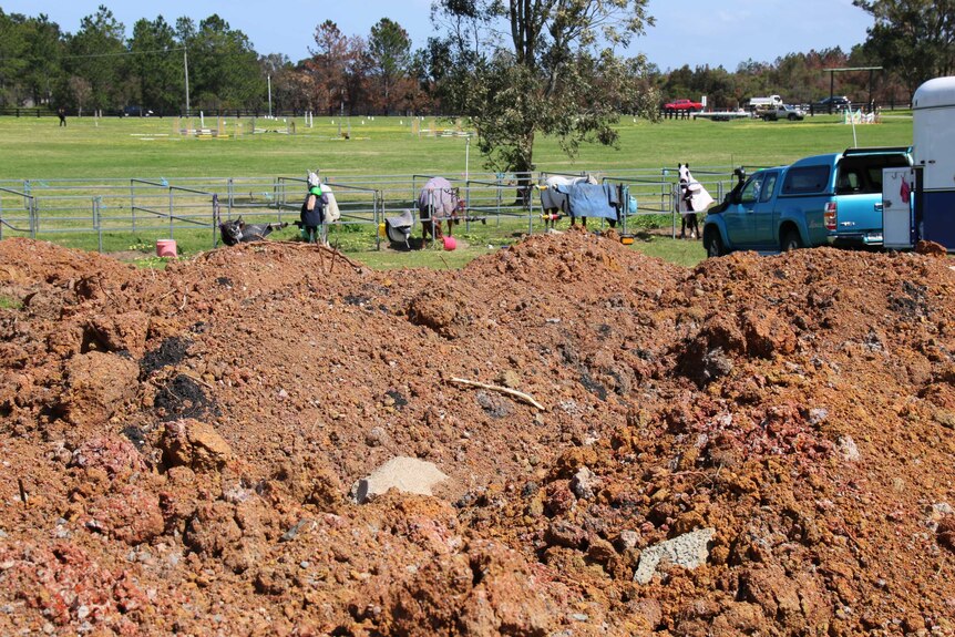 Mysterious piles of debris-filled dirt have appeared around the perimeter of the horse park.